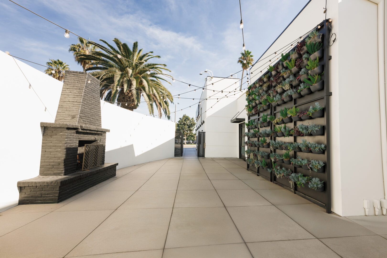 Outdoor patio with string lights, a black brick fireplace on the left, and a vertical succulent garden on the right. Palm trees and a blue sky are visible in the background.