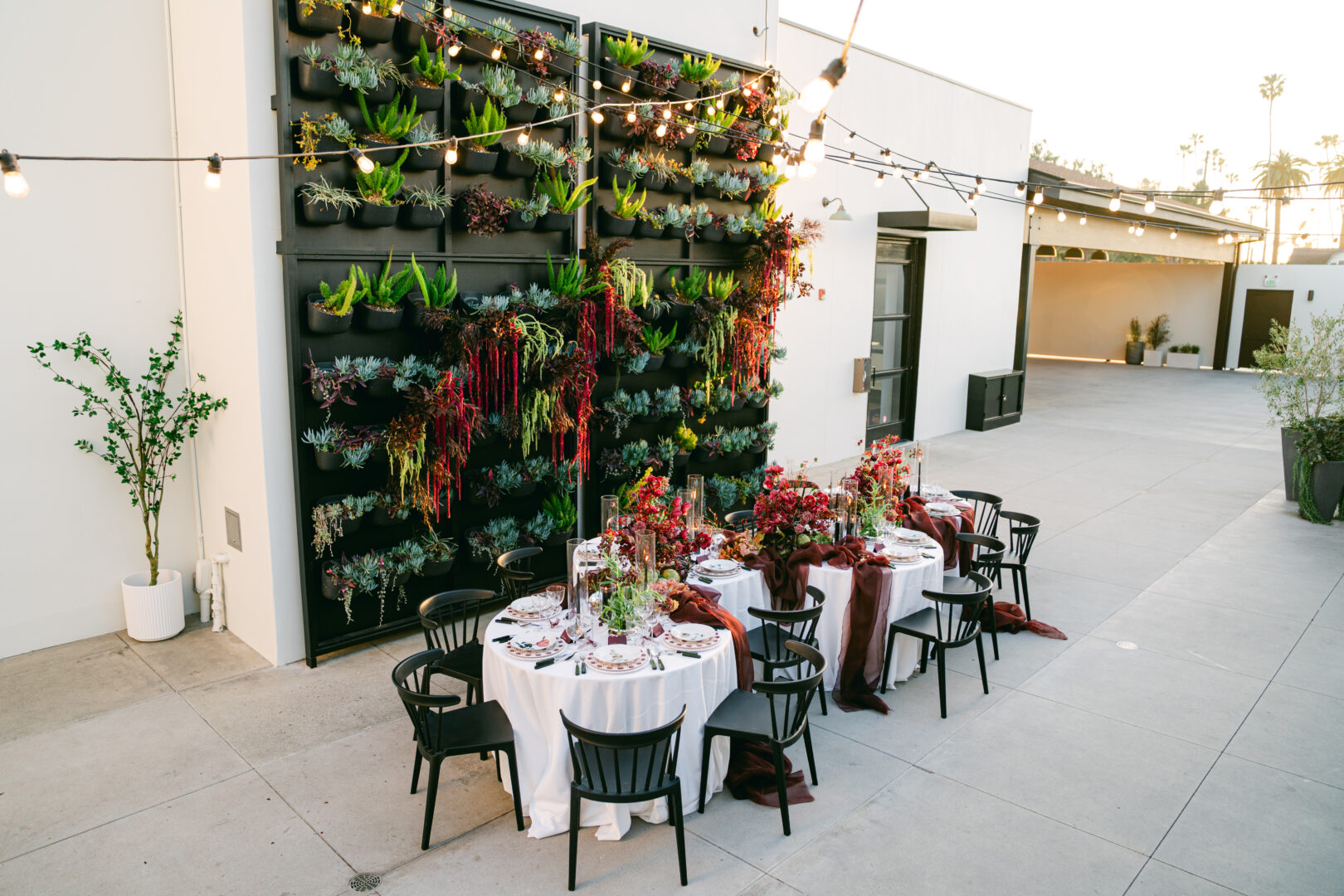 Outdoor event setup with round tables, black chairs, and white tablecloths. Tables are decorated with red flowers under string lights, next to a vertical succulent garden on a modern building wall.